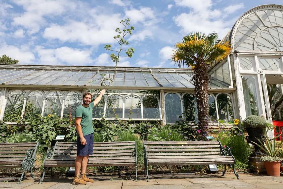 18-Foot 'Death Bloom' Forces Greenhouse to Remove Roof - Image 2