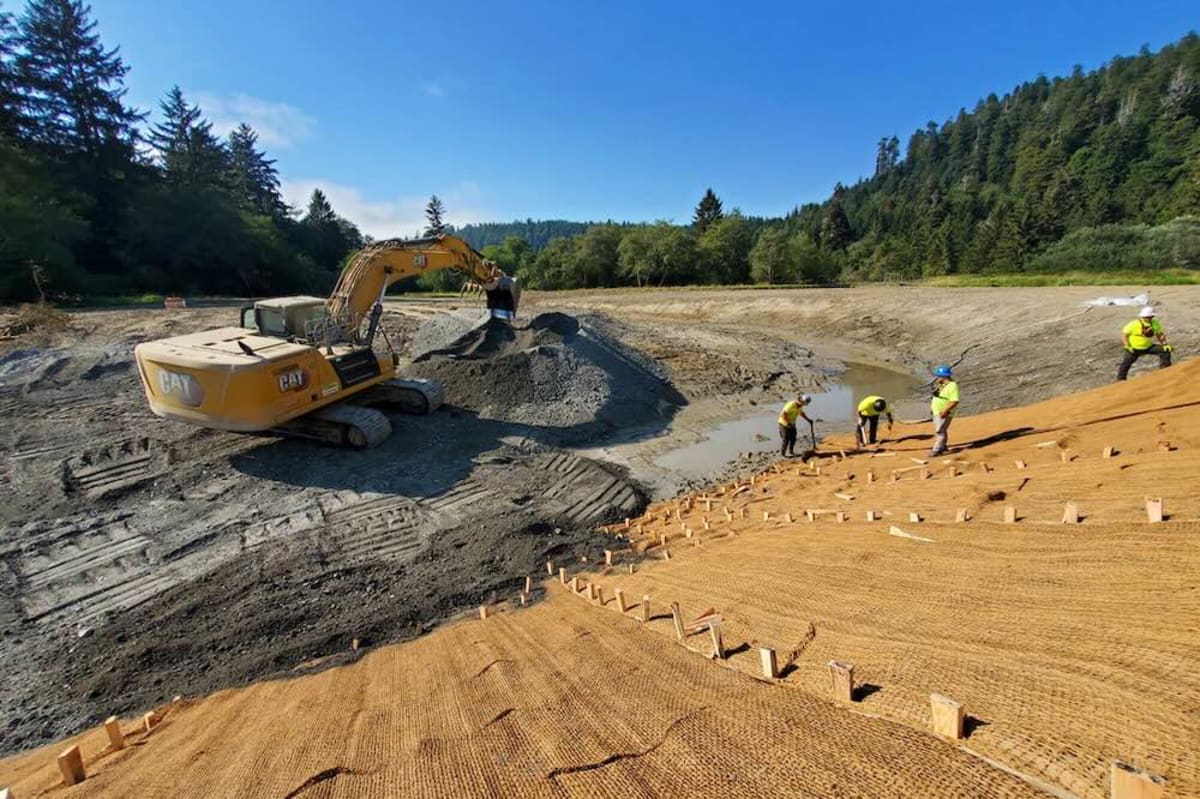 California Creek Restoration Doubles Salmon Survival Rate - Image 3