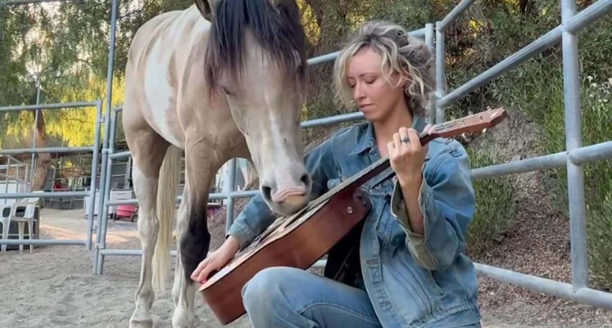 Singer playing acoustic guitar outdoors while brown horse gently touches guitar strings with mouth