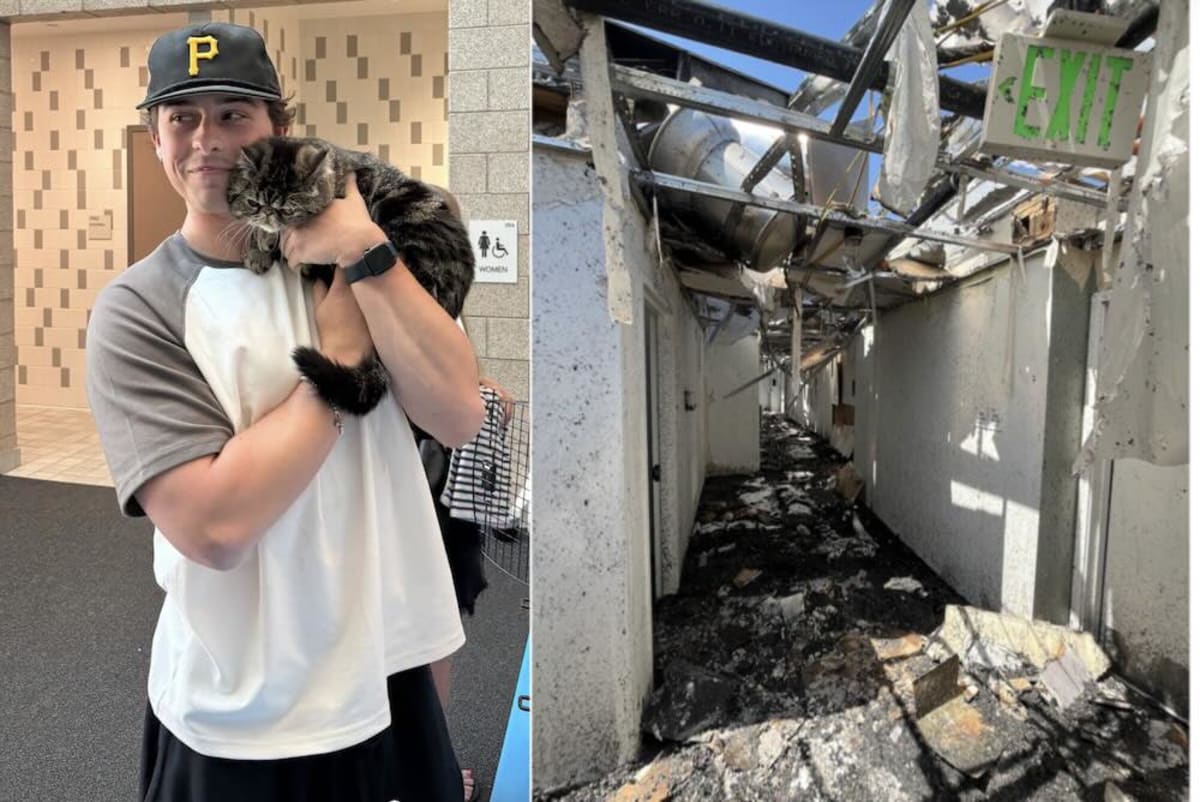 Cat Survives 72 Hours in Utah Apartment Blaze - Image 3