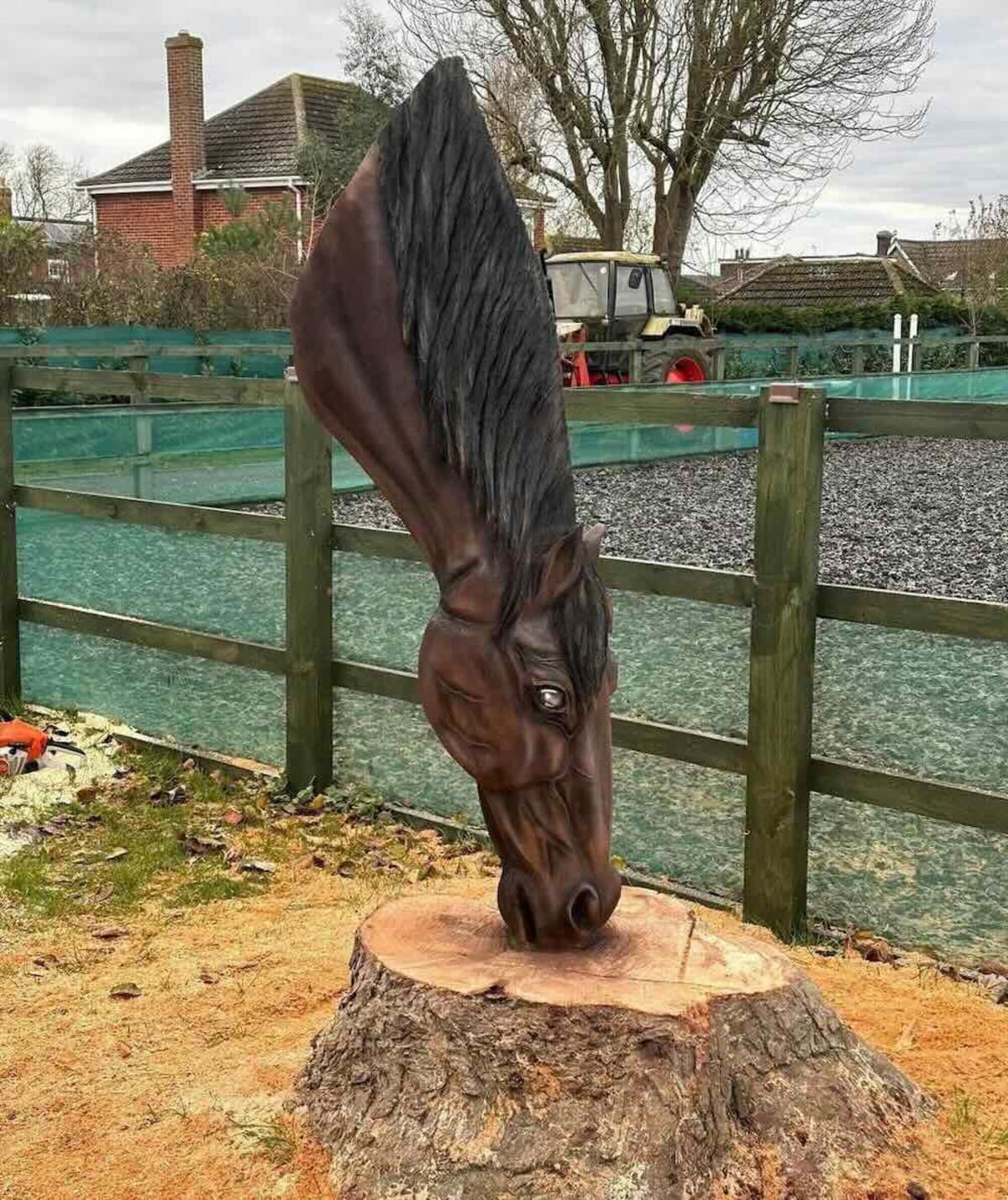 Self-Taught Artist Builds 30-Year Career with Chainsaw Art - Image 2