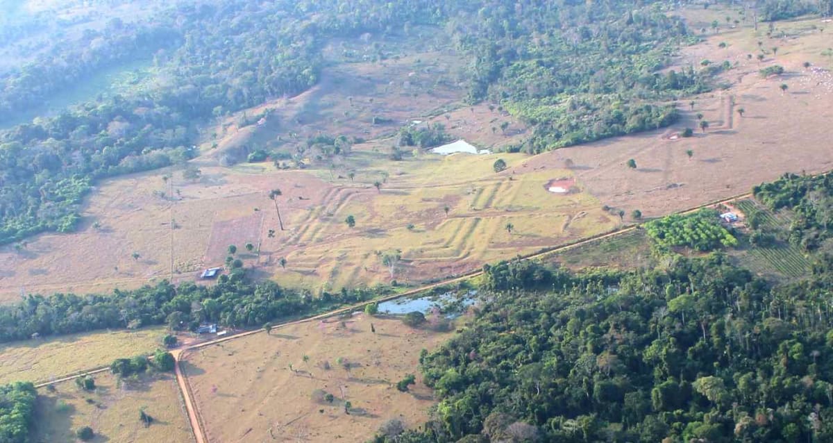 Aerial view of ancient geometric earthwork ditches in the Amazon rainforest from LiDAR survey