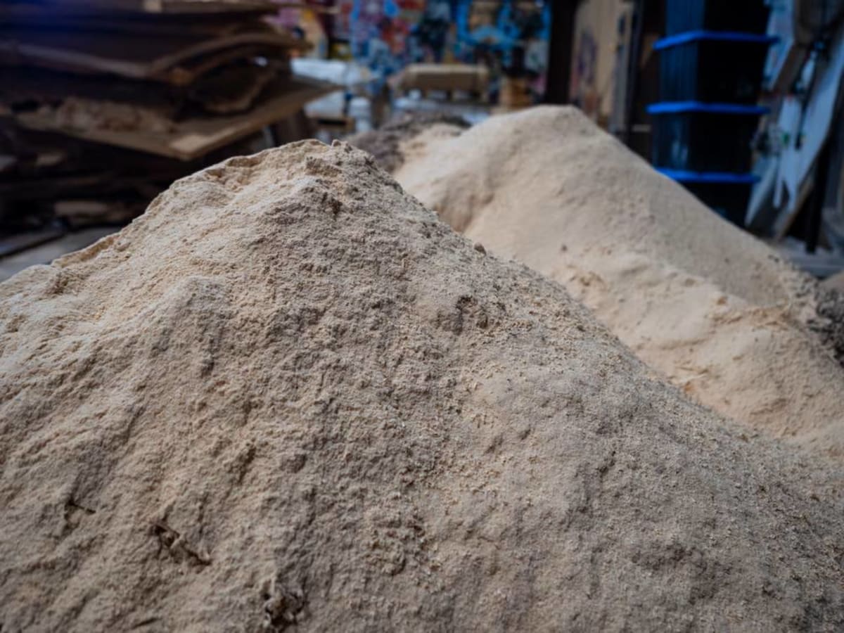 Vancouver Startup Turns Logging Waste Into Plastic Alternative - Image 3