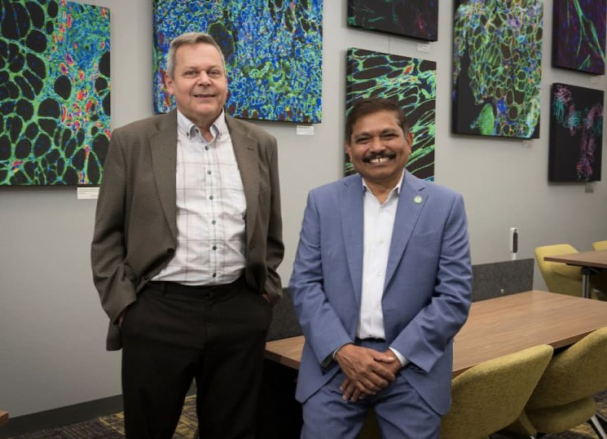 New Drug Improves Muscle Function in Toddlers With DMD - Image 2
