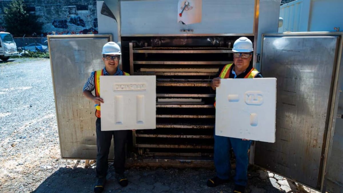Vancouver Startup Turns Logging Waste Into Plastic Alternative - Image 2