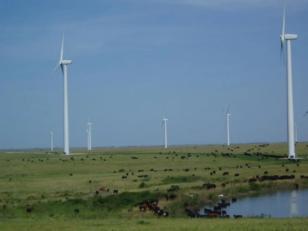 Wind Turbines Provide Half This Kansas Rancher's Income - Image 3
