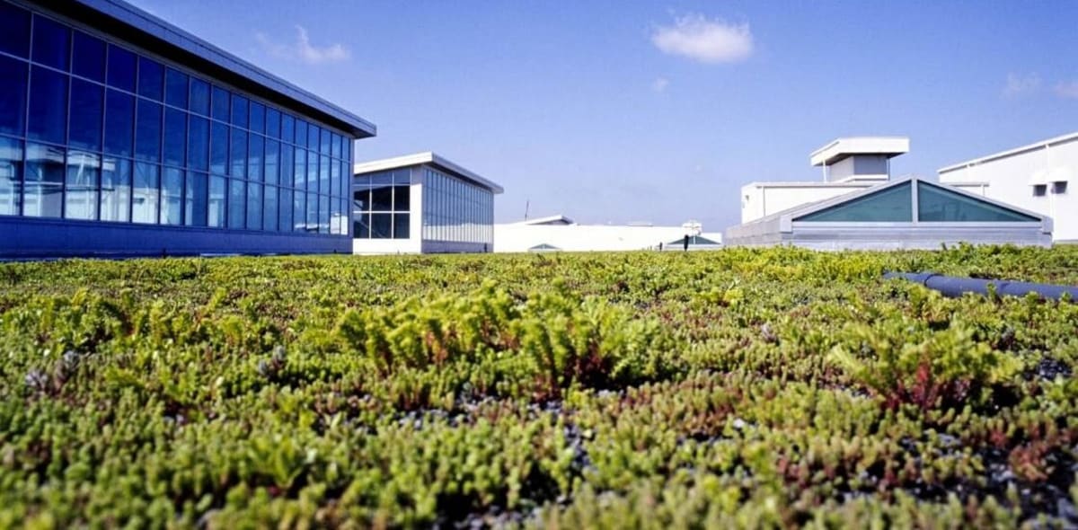 Aerial view of Ford Rouge Factory's massive green living roof covered in sedum plants