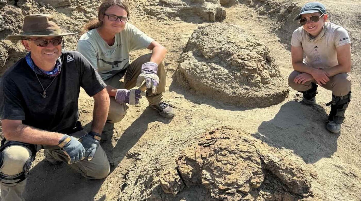 Massive three-toed T. rex footprints preserved in ancient rock formation in North Dakota