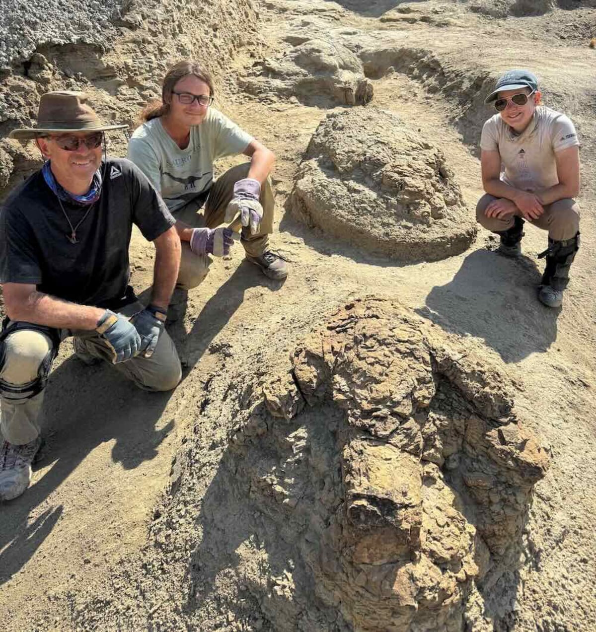 First Adult T. Rex Trackway Found in North Dakota - Image 2