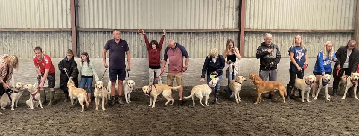 12 Golden Lab Puppies Reunite With Parents for 1st Birthday - Image 3