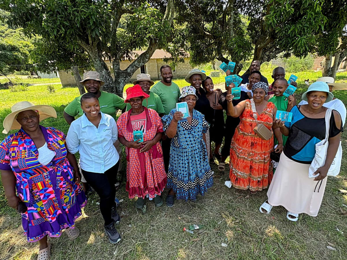 South Africa Turns 17-Year Forest Restoration Into Jobs