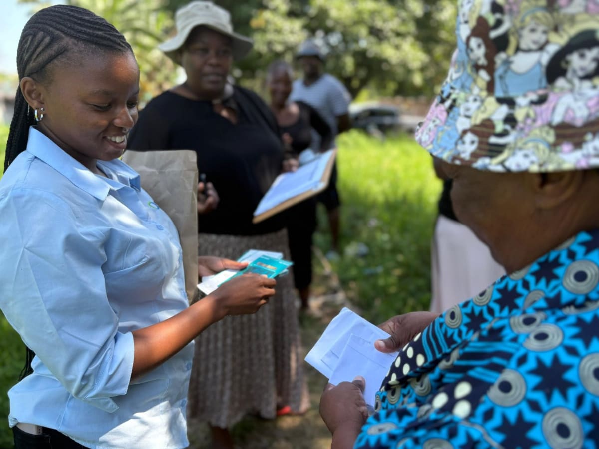South Africa Turns 17-Year Forest Restoration Into Jobs - Image 3