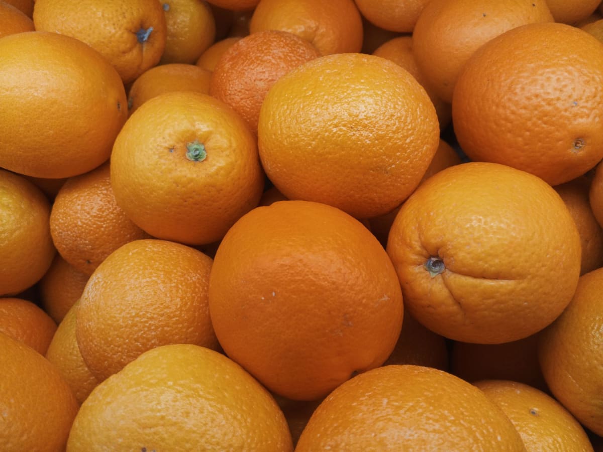 Volunteers Make 2 Trips for 400kg of Oranges That Never Came