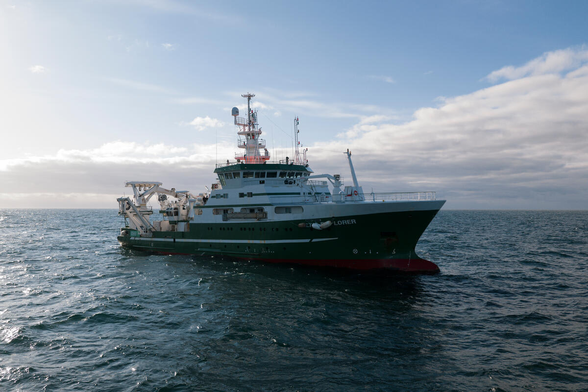 Scientists Livestream Deep-Sea Wonders From 2,300 Meters Down - Image 2
