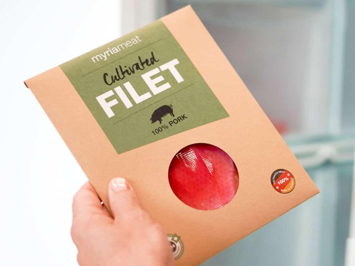 Germany Opens Lab-Grown Meat Hub in 2027 - Image 2