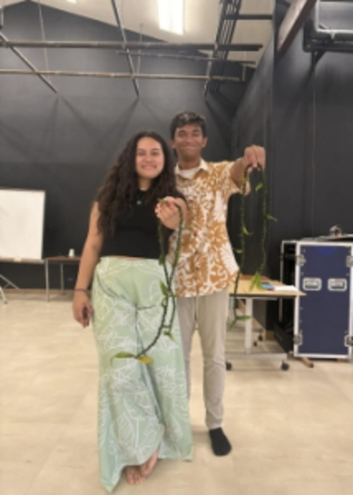 Hawaii Student Wins Full Scholarship After Community College - Image 3