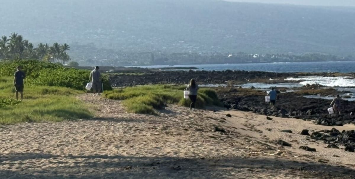Hawaii Scavenger Hunt Turns Beach Cleanup Into Prize Game - Image 3