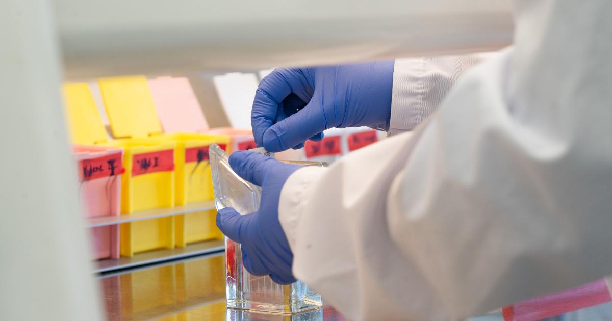 Helsinki Turns 100+ Lab Ideas Into Real Businesses