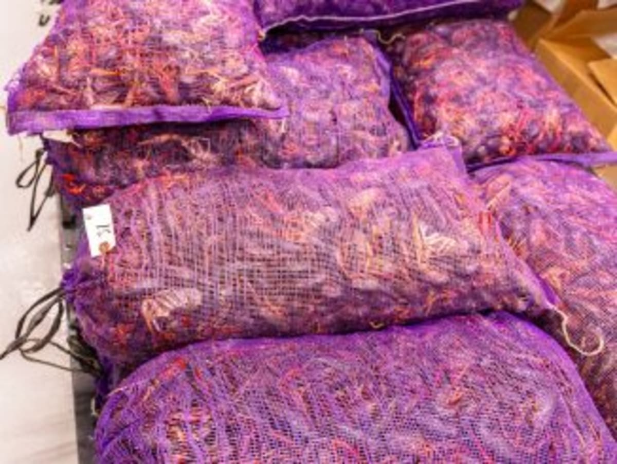 Strangers Save Parade-Goer's Life, Meet Him Weeks Later - Image 5