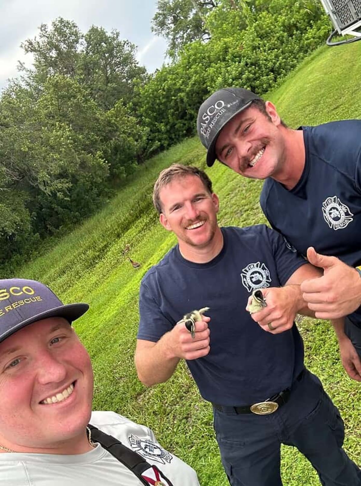 Firefighters Save 16 Ducklings From Storm Drain - Image 3