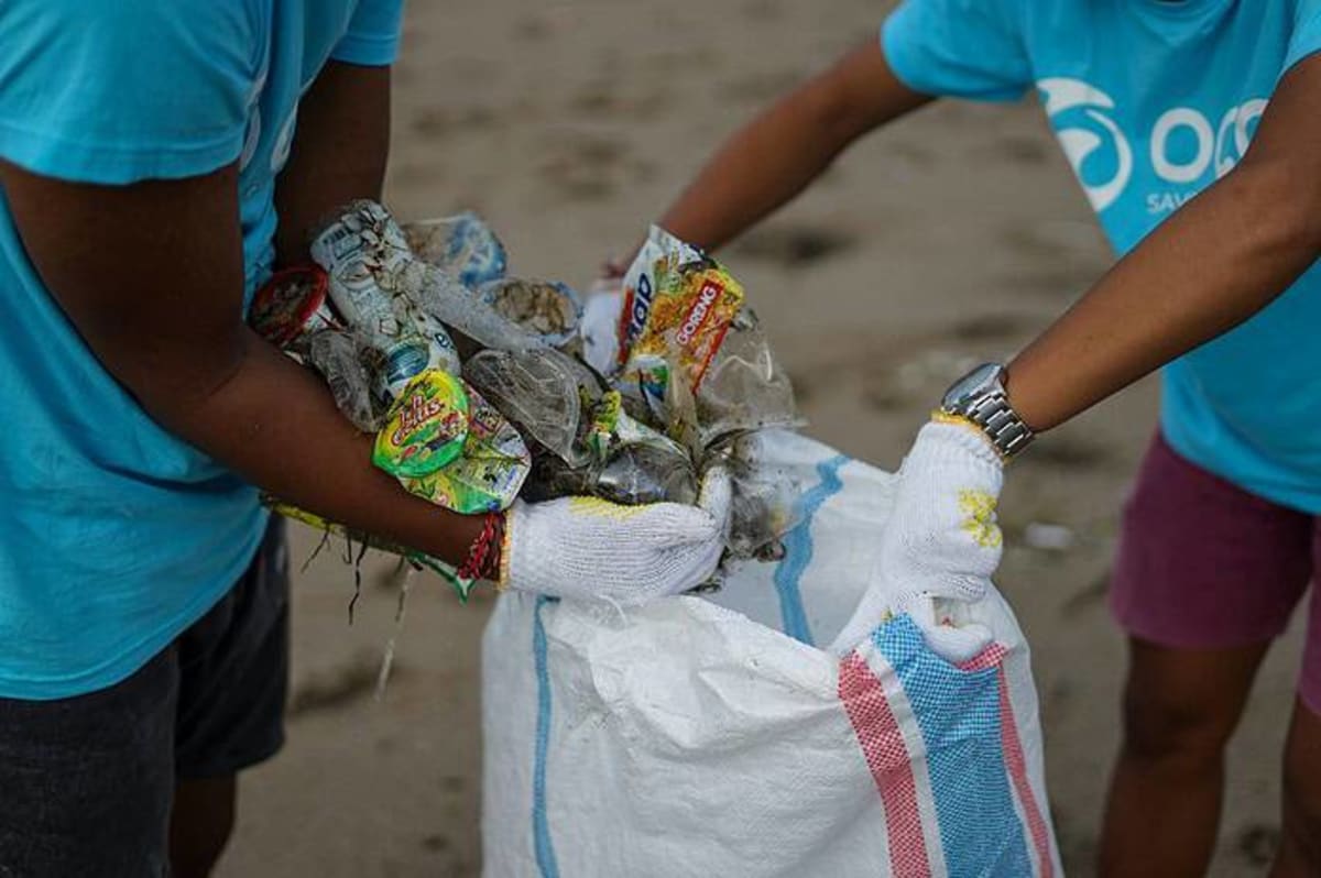 Florida County Hosts 11th Annual Coastal Cleanup Sept 19 - Image 3