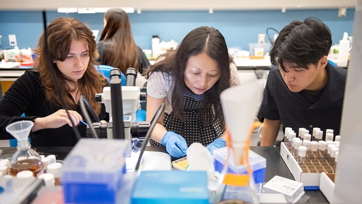 176 Students Win Summer Research With Top Scientists