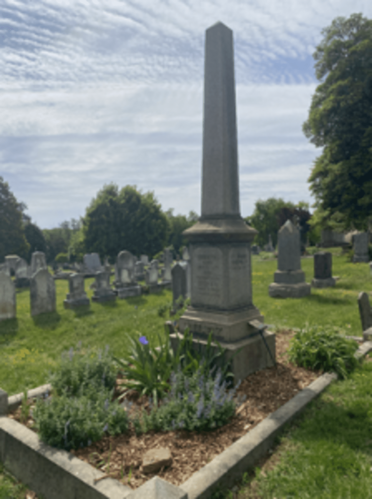 DC Cemetery Volunteers Transform Forgotten Graves Into Gardens - Image 2