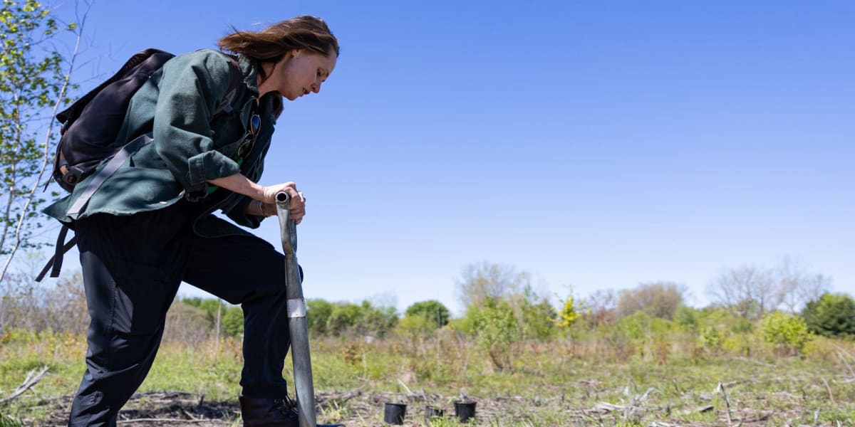 Michigan Woman Saves Endangered Plants in Conservation Lab - Image 2