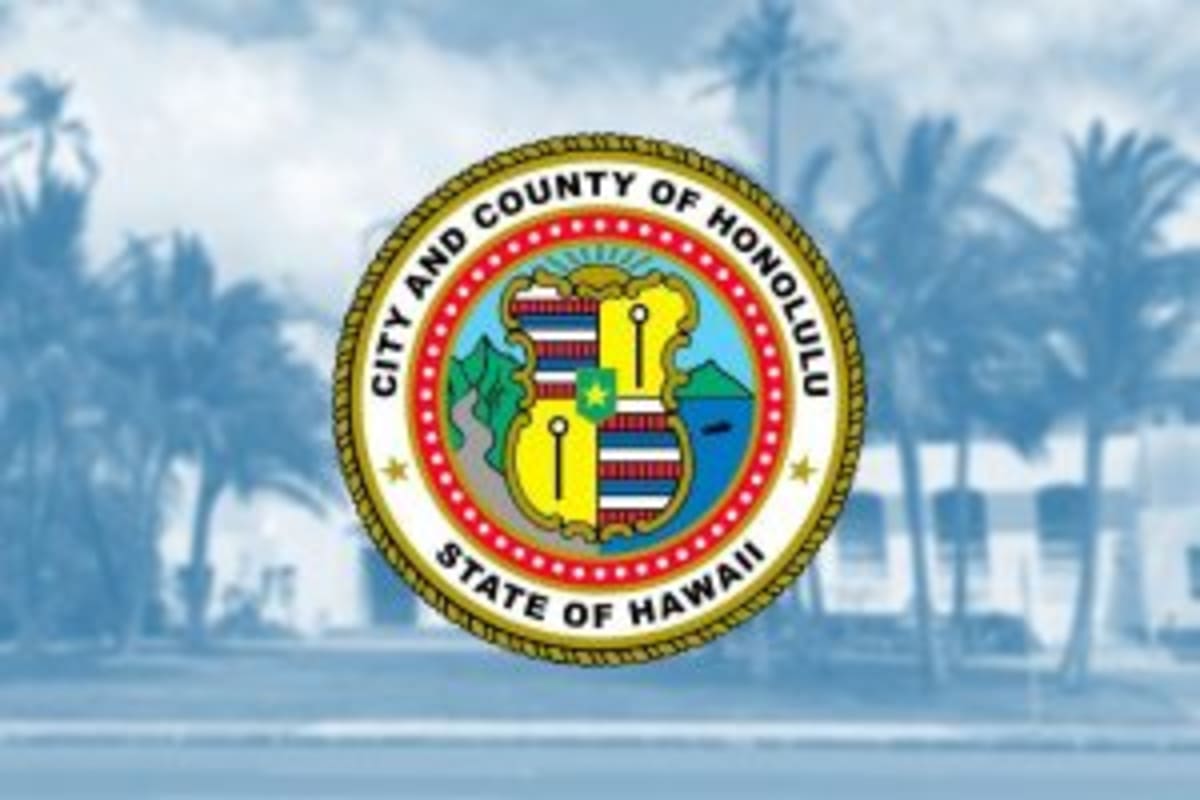 Honolulu Firefighters Rescue 200+ in Severe Storm - Image 5