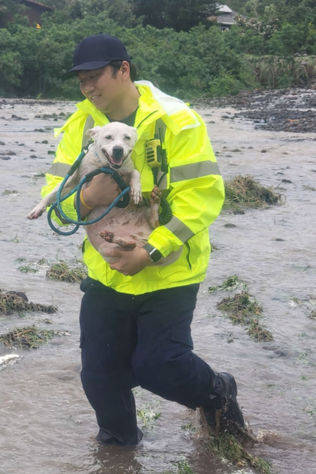 Honolulu Firefighters Rescue 200+ in Severe Storm - Image 3