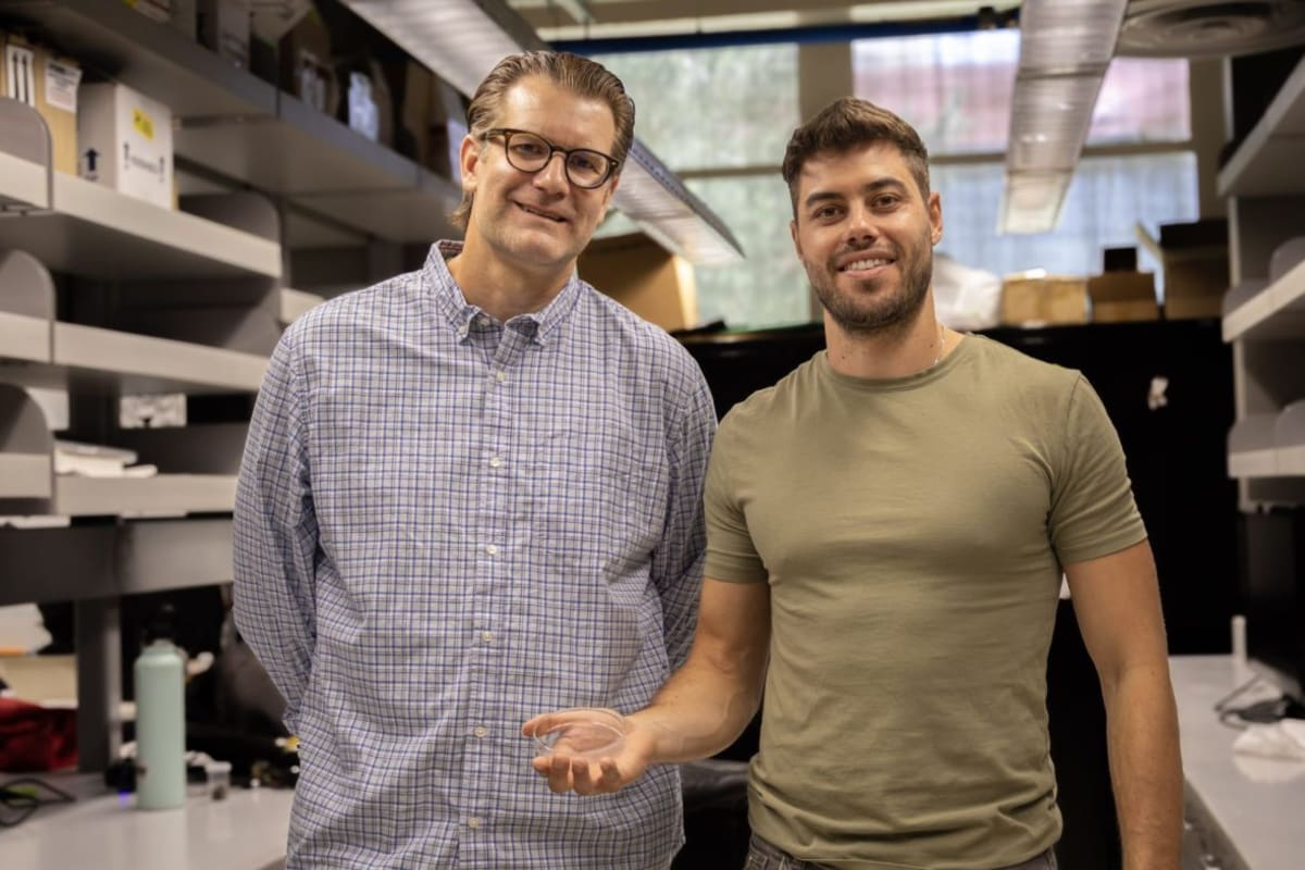 Idaho Researchers Discover Spider Species Found Nowhere Else - Image 2