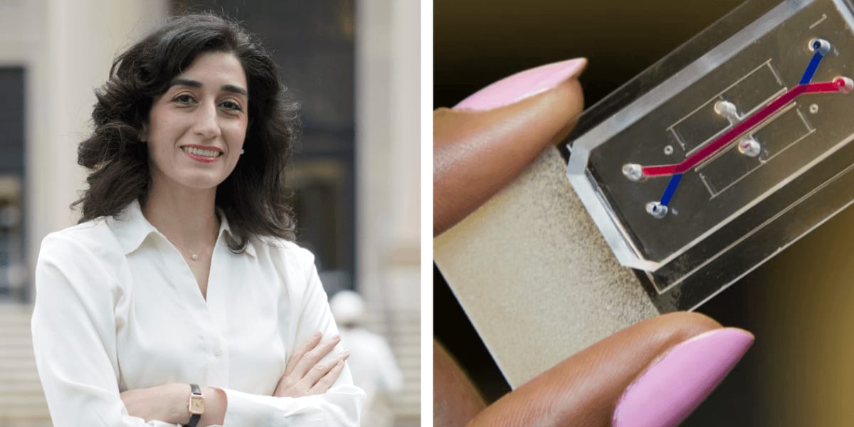 Tiny palm-sized organ-on-chip device replicating human cervical tissue developed at Harvard University