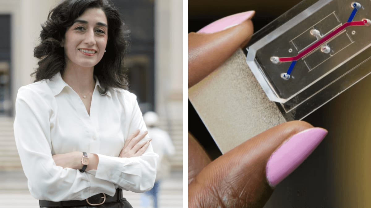 Harvard's Cervix Chip Wins £50K Prize, No Animals Needed - Image 2