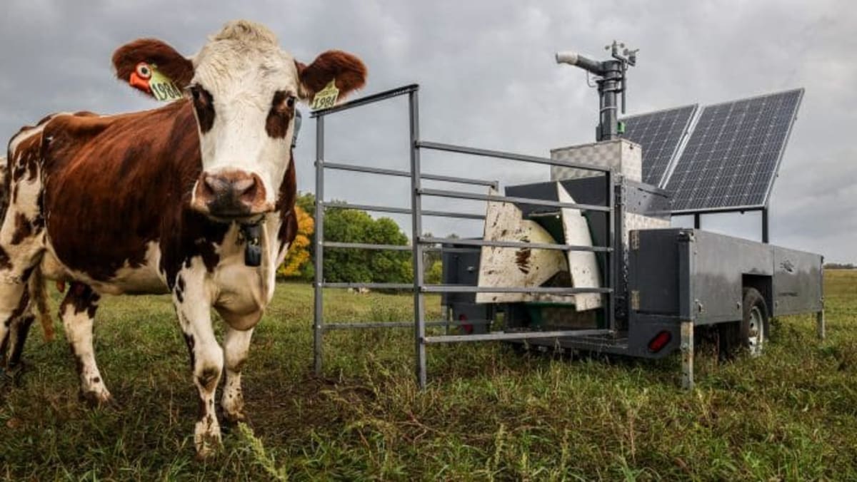 C-Lock Builds Universal Standard for Livestock Methane Data - Image 2
