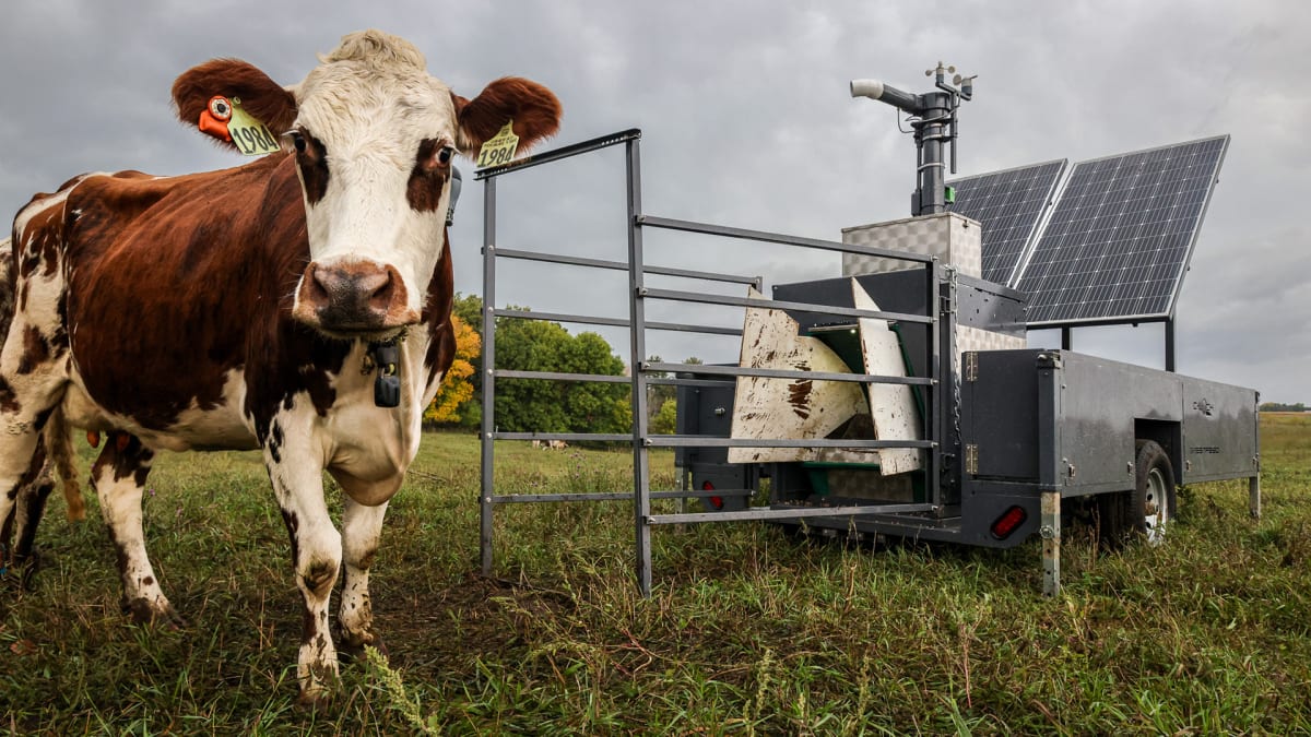 C-Lock Builds Universal Standard for Livestock Methane Data