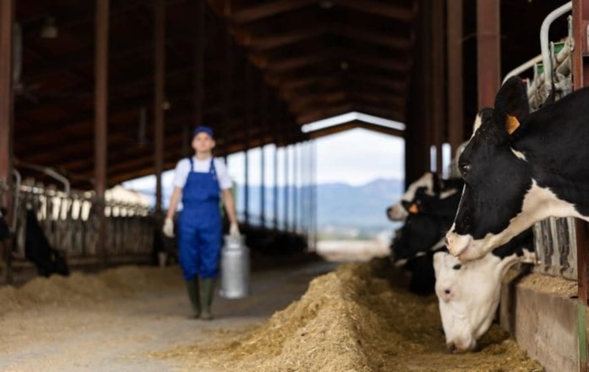 Eating Less Meat Could Save 60K Diabetes Cases in Scotland - Image 2
