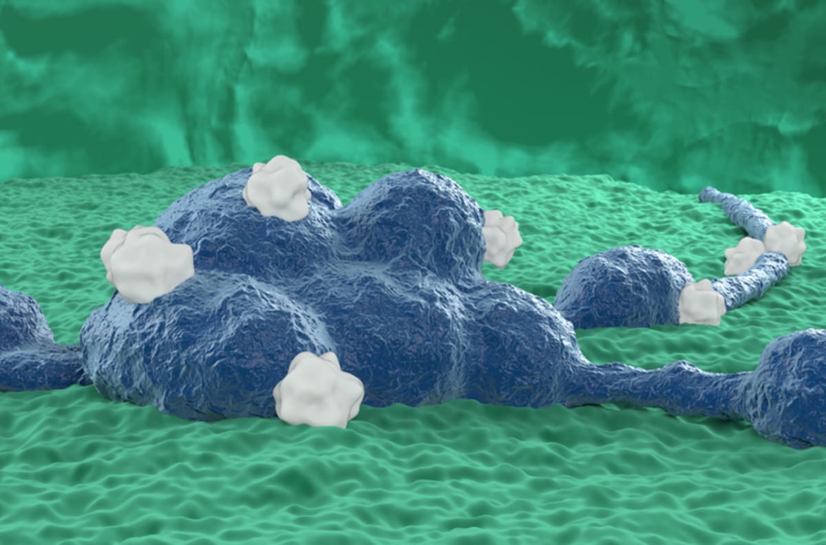 Microscope view of nanoparticle vaccine technology being developed for childhood neuroblastoma cancer treatment