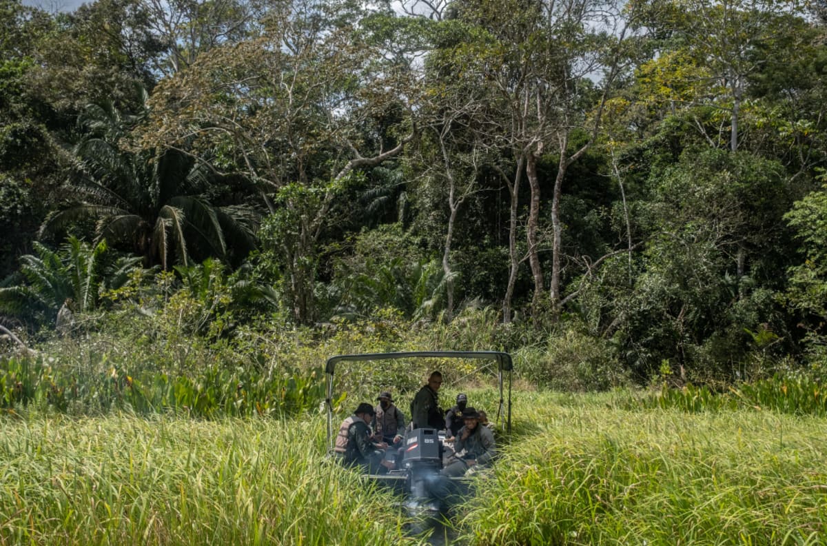 International law enforcement officers collaborating at computers analyzing environmental crime networks and trafficking routes