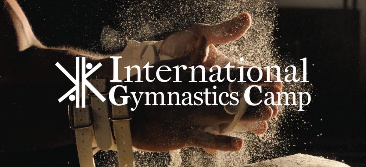 Georgian Gymnast Wins First Medal After 9-Year Journey - Image 4