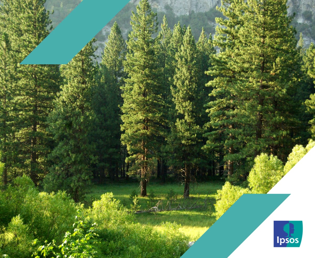 76% of Canadians Prioritize Forests After Wildfires