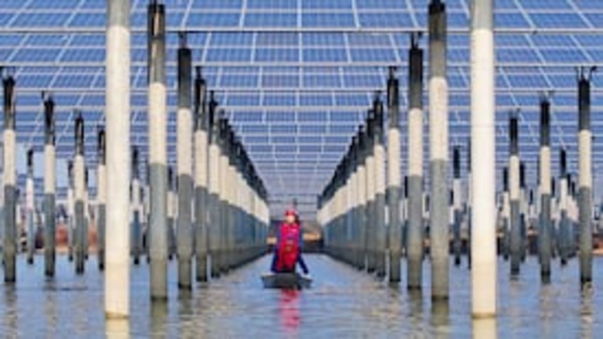 China Now Sells 50% Electric Cars, Redefining Global Market - Image 2