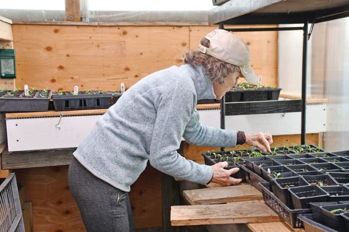 Rhode Island Farm Feeds Thousands With Volunteer Power