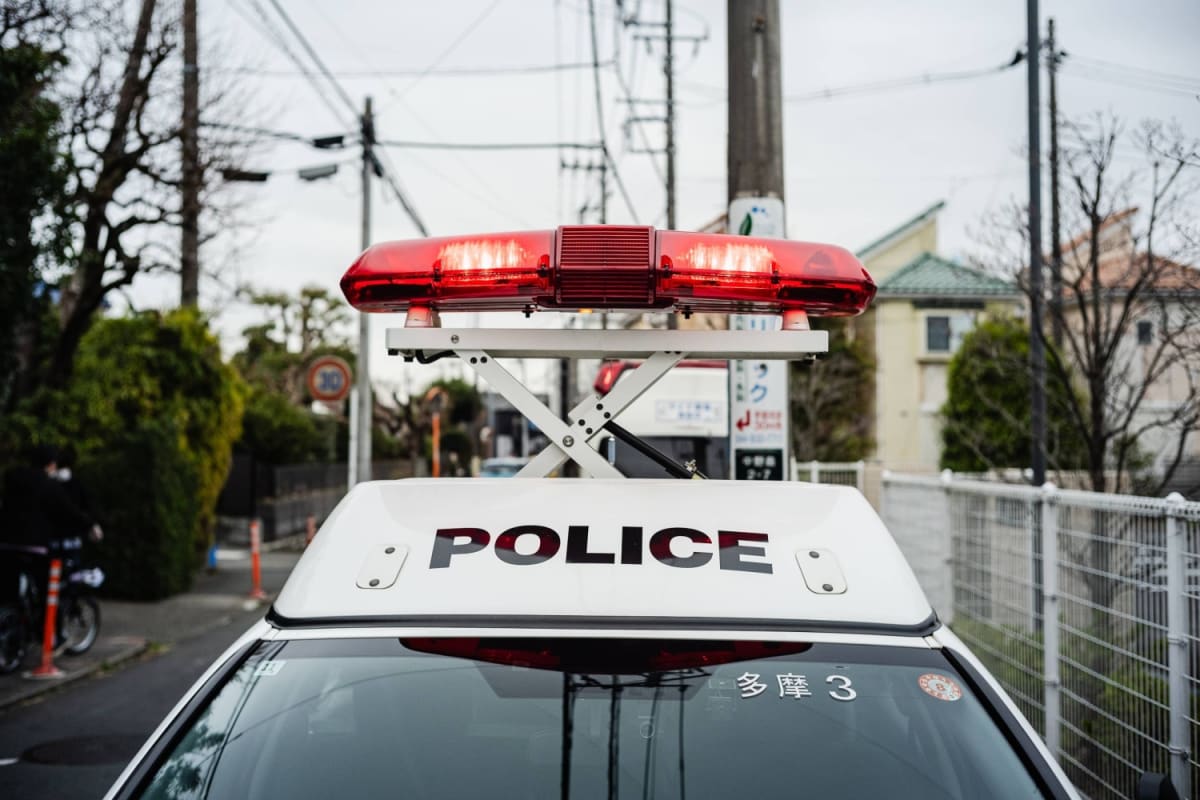 Japan Police-Shelter Cooperation Hits Record in Abuse Cases - Image 3
