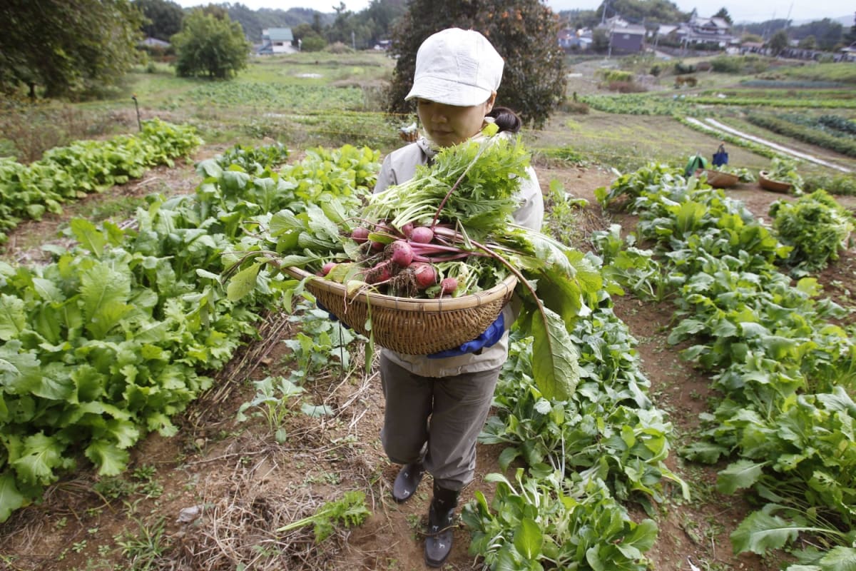 Japan Study: Government Trust Key to Organic Food Growth
