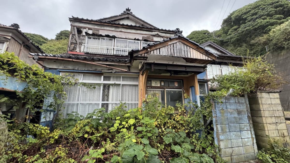 At 70, birder explores Japan through yearlong adventure - Image 5