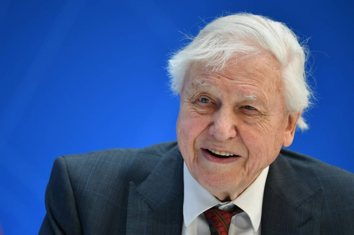 David Attenborough Turns 100, Still Inspiring the World - Image 3