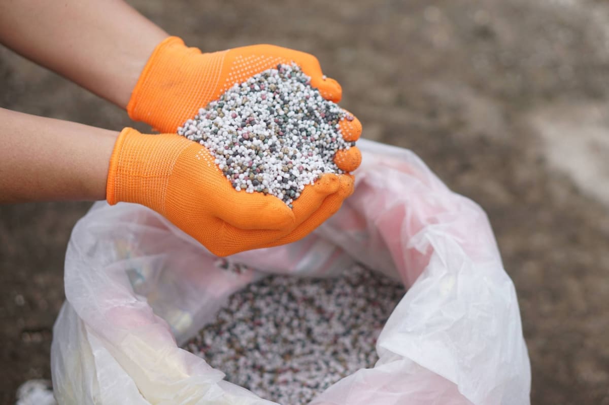 Japan Turns Sewage Into Fertilizer to Boost Food Security - Image 3