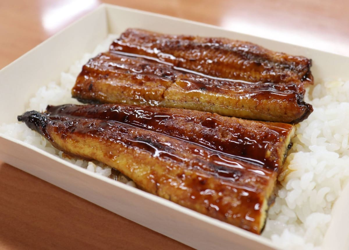 Japan Sells First Captive-Bred Eels to Save Species