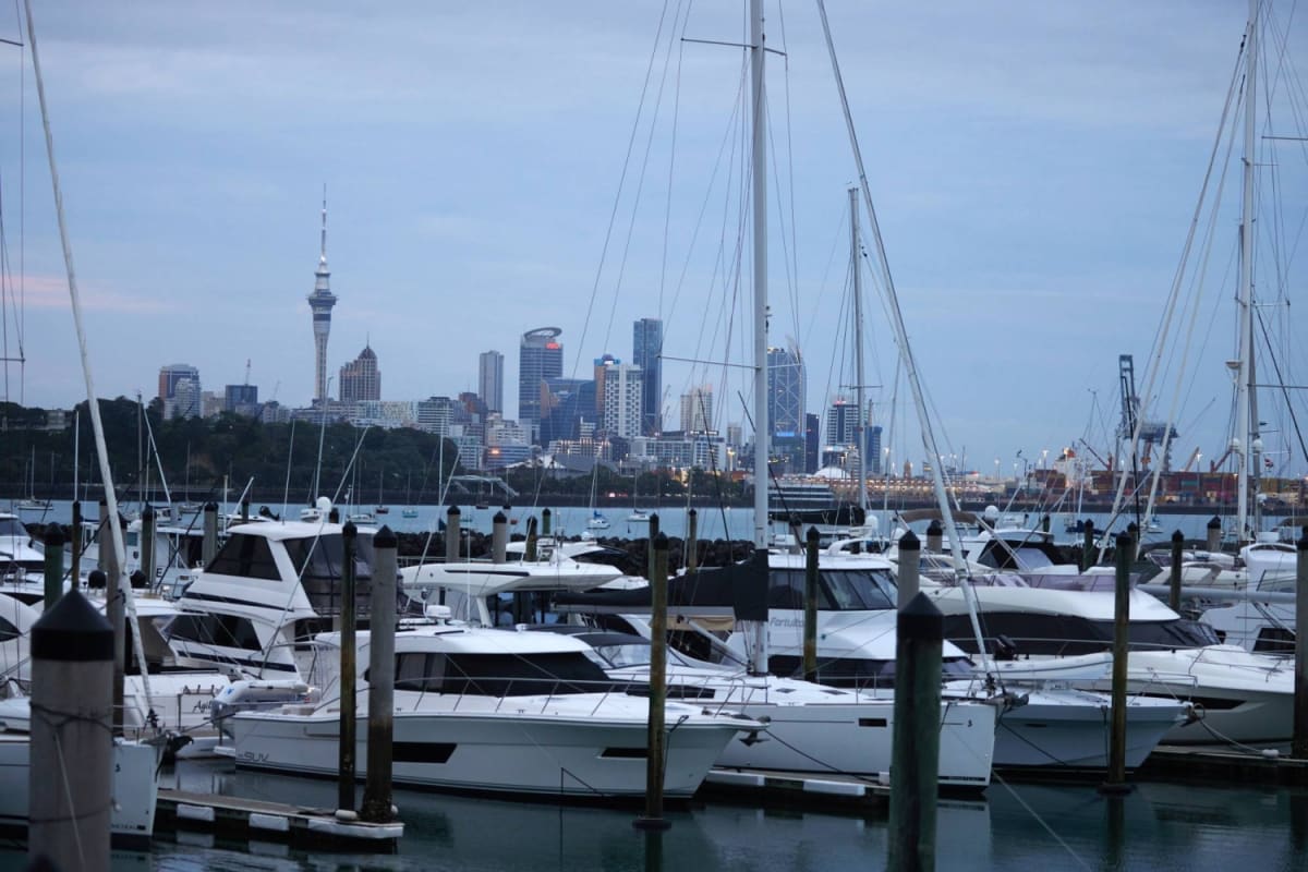 New Zealand Golden Visa Now Funds Charities - Image 3
