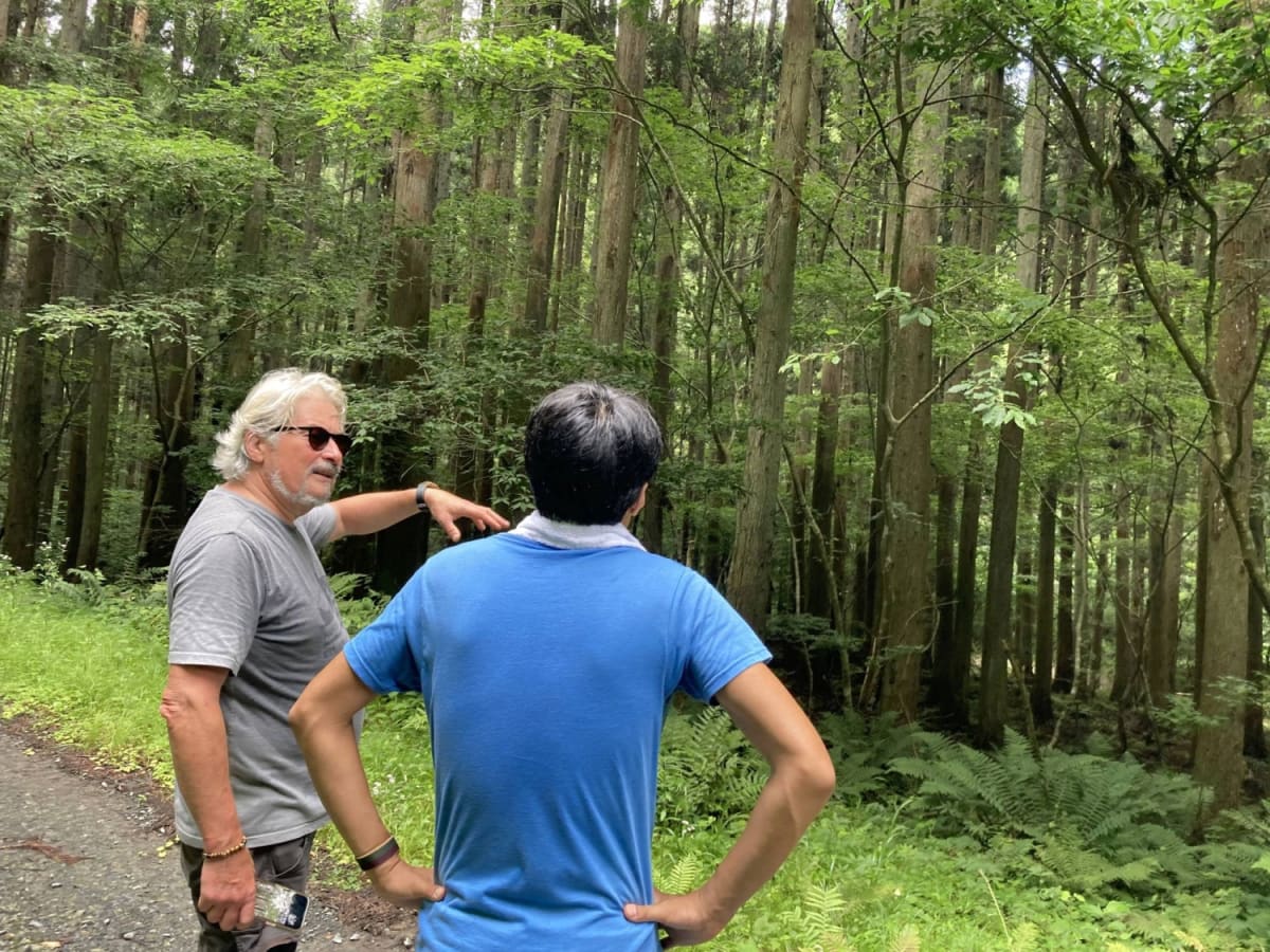Japan Forests Turn Carbon Credits Into Conservation Win - Image 3